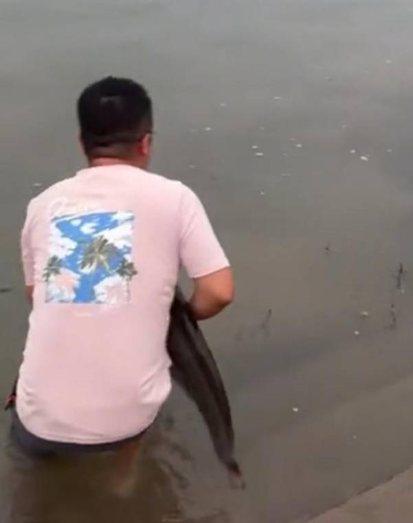 皇冠代理注册_四川一男子钓1米长大鱼后放生皇冠代理注册，围观者高呼“卖给我”，回应：钓鱼是为娱乐