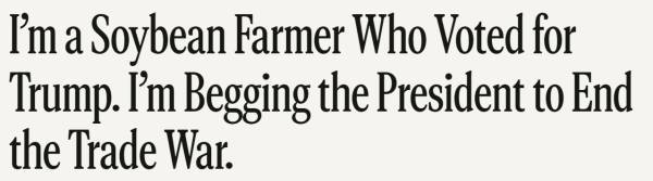 皇冠信用網在线开户
_大豆玉米大丰收皇冠信用網在线开户
，美国农民更欲哭无泪：中国一船都没买…