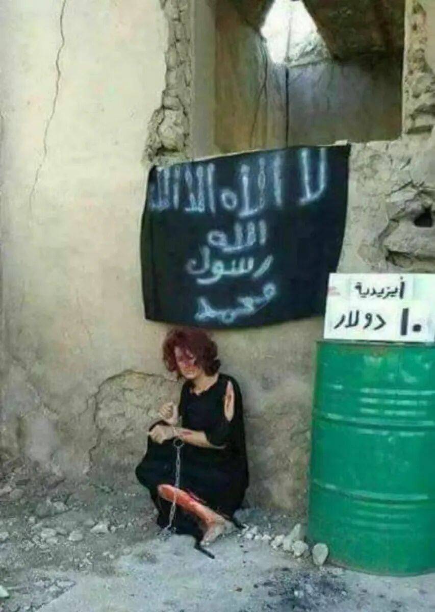 信用網皇冠申请注册_美国迎来一位最特殊客人信用網皇冠申请注册，世界哭笑不得