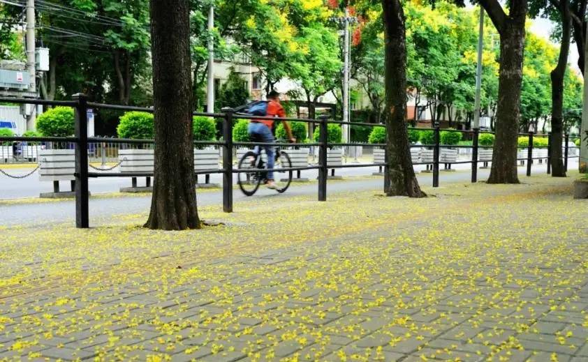 皇冠信用盘开户_上海天气大反转!雨水+冷空气来袭皇冠信用盘开户,气温将骤降...“差不多行了,再热就不礼貌了”