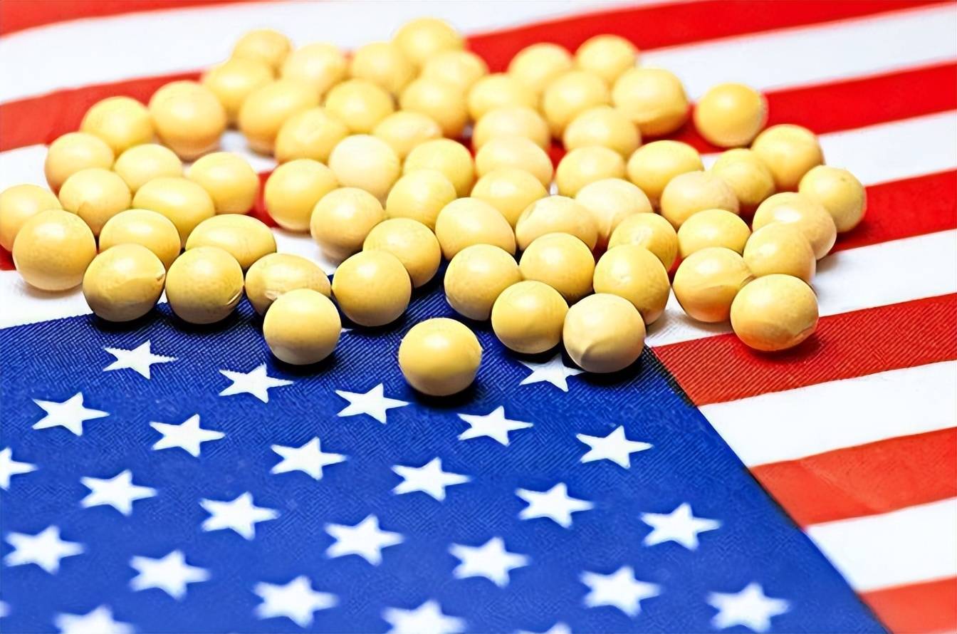 皇冠信用盘代理_中国与阿根廷达成协议皇冠信用盘代理，短短两天内采购了130万吨，这正是给特朗普的答案！