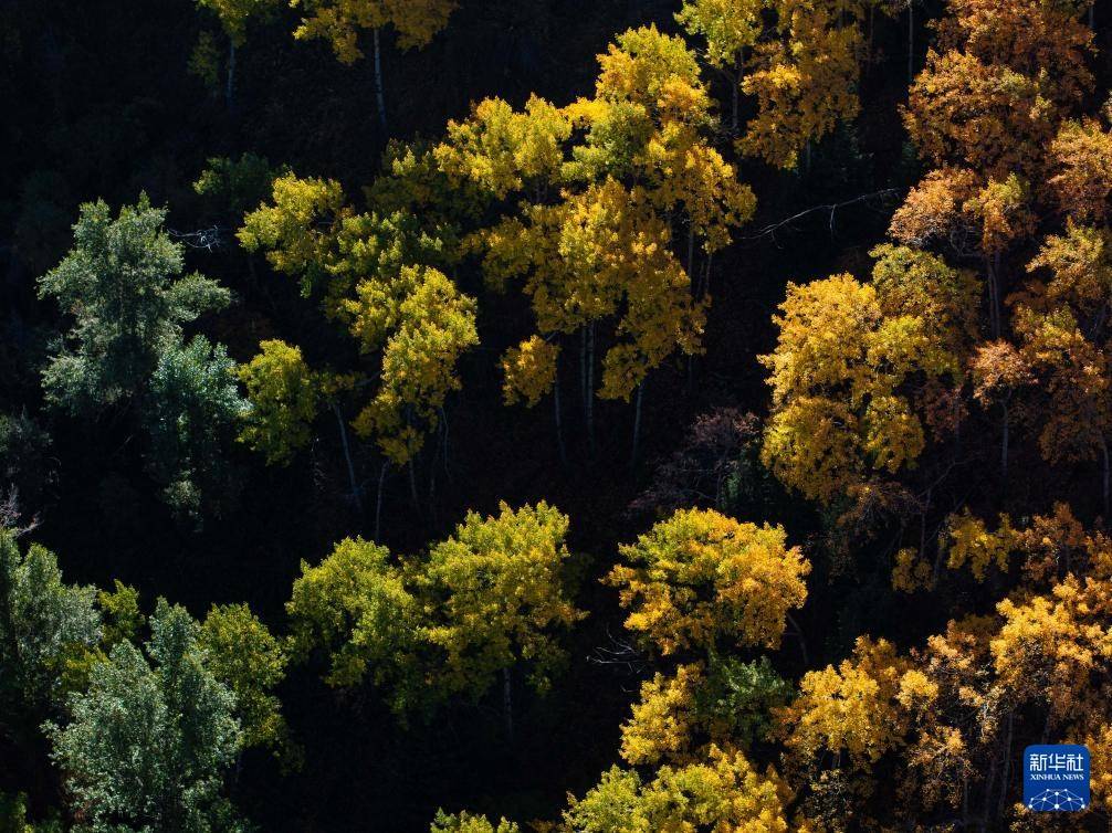 皇冠公司的代理怎么拿_哈萨克斯坦：伊塞克峡谷和伊塞克湖的秋日画卷