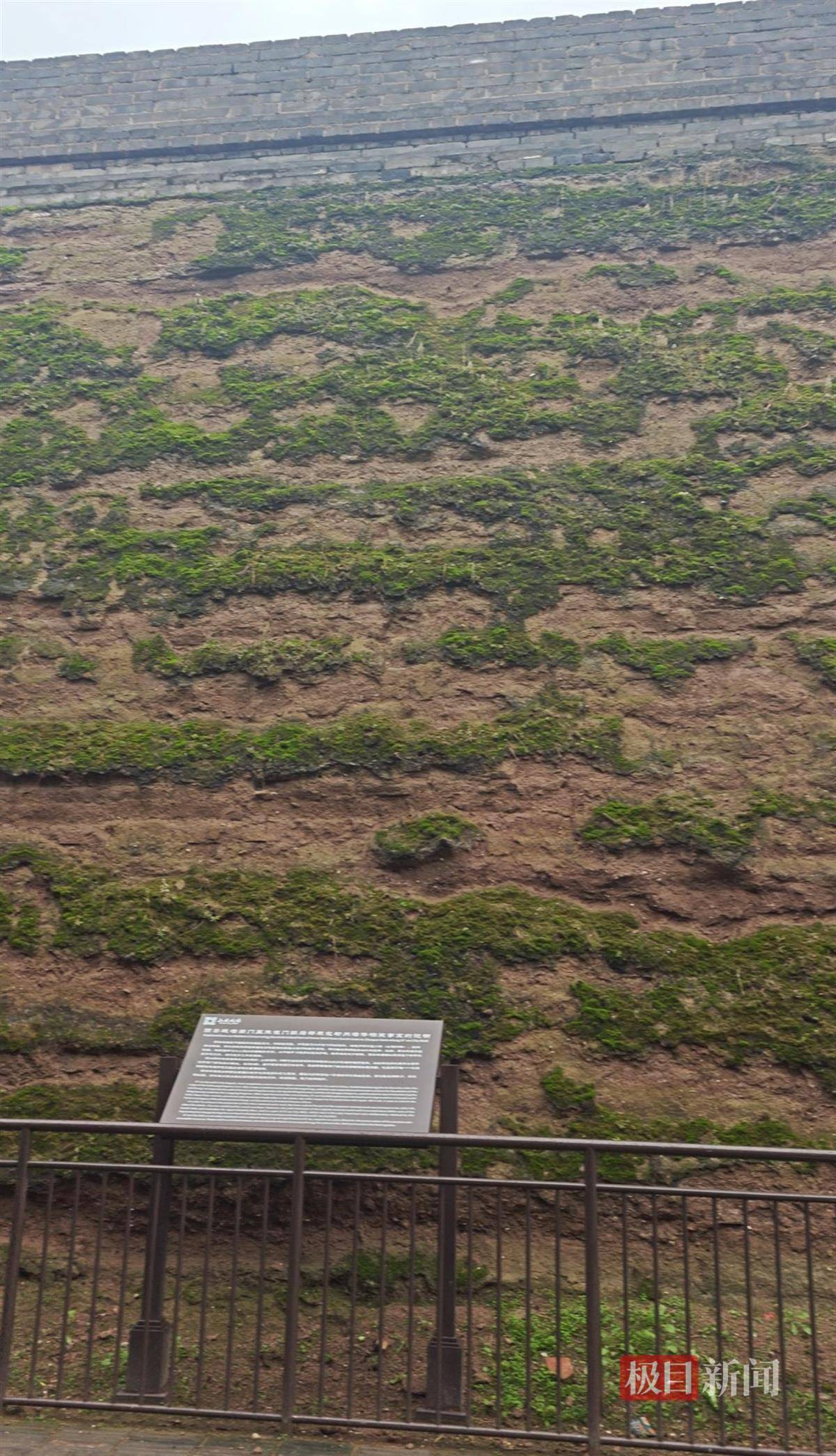 怎么开皇冠信用
_西安连续一个多月降雨遍地长蘑菇怎么开皇冠信用
，大雁塔受潮，城墙布满青苔，气象局解释成因