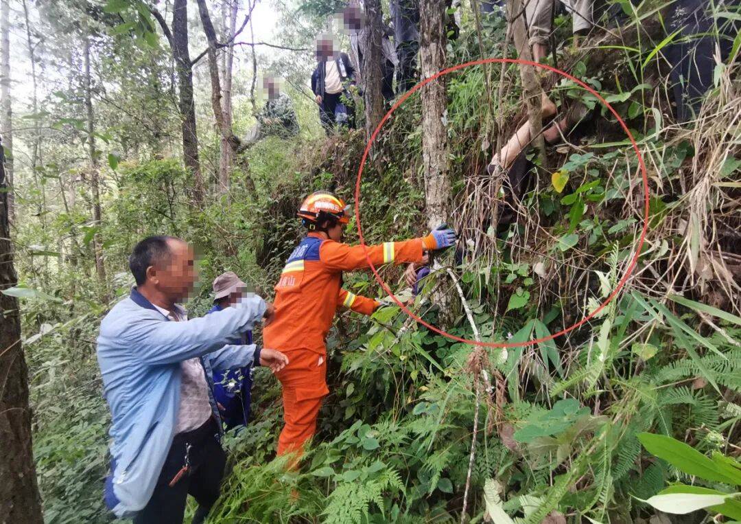 皇冠信用網代理出租
_93岁老人进山失联皇冠信用網代理出租
，两天后发现他倒挂在树杈上苦撑……