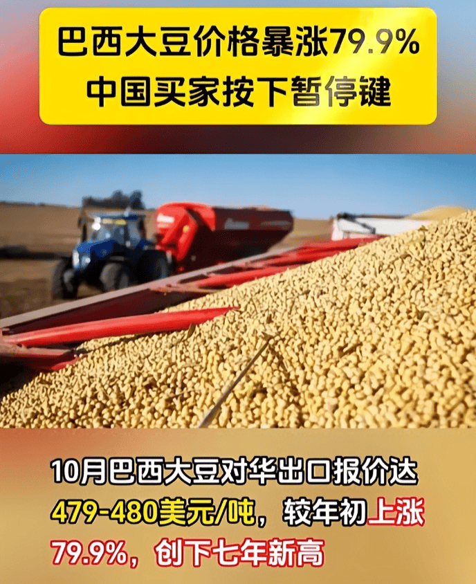 皇冠信用網去哪里弄
_反制升级了！巴西大豆被中国停购后皇冠信用網去哪里弄
，转身就对中企下狠手，中方亮明态度
