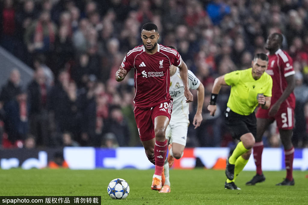 欧冠冠军杯
_欧冠-麦卡利斯特一击致命 利物浦1-0送皇马赛季第2败