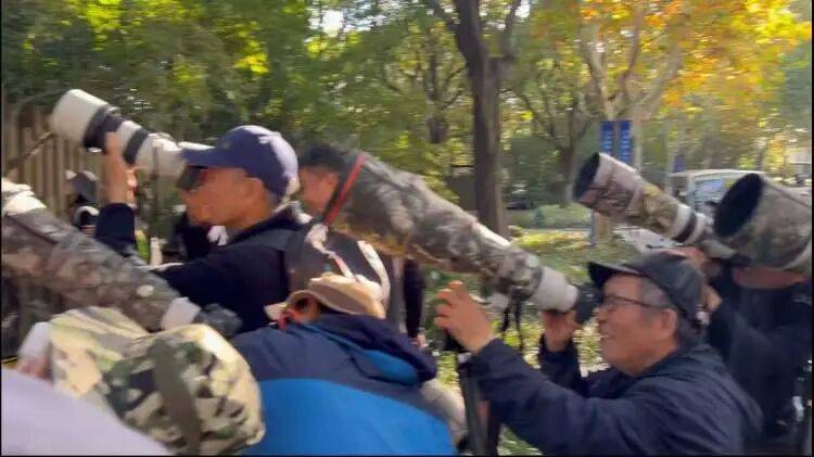 皇冠球网怎么做代理
_百年罕见!首次在上海被目击皇冠球网怎么做代理
,有人专门从北京“打飞的”赶来