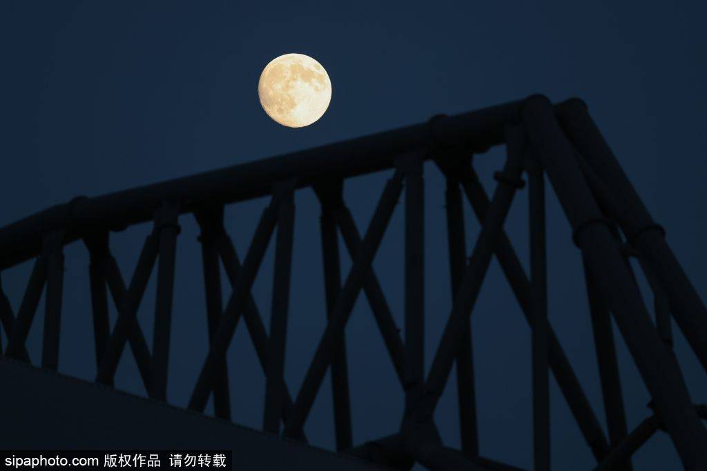 皇冠信用網如何申请_队魂发声！杰拉德：萨拉赫替罪羊的说法是错误的皇冠信用網如何申请，范戴克应该出面