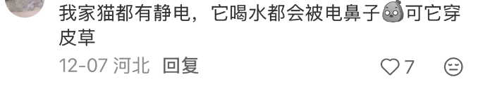 怎么开皇冠信用平台_被静电支配的冬天：年轻人正在给自己“接地线”